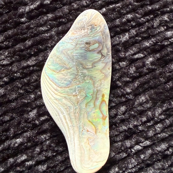 Colorful Abalone Shell Pieces - Picture 7 of 8